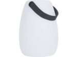 Enceinte Lumineuse Bluetooth Colorlight Lantern Blanche Compatible avec Tous Les téléphones Bluetooth