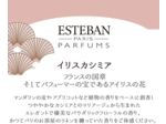 Esteban Paris Iris Cachemire Bougie parfumée 170 g